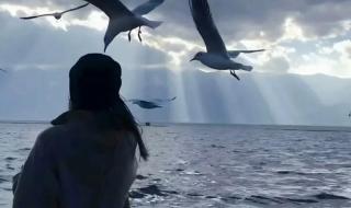 我以为忘了想念 我以为忘了想念