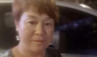 河南坠子王二姐思夫