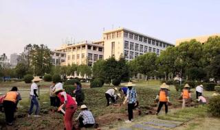 武汉职业技术学院 武汉职业技术学院