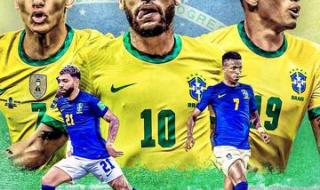 世界杯巴西战绩表 世界杯巴西战绩表